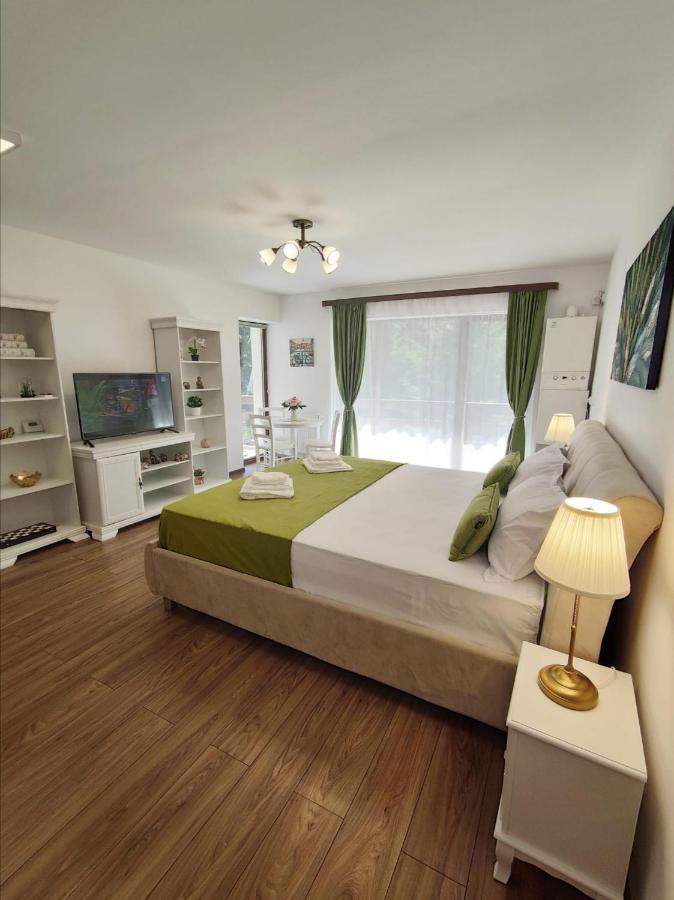 Green Studio Predeal Ngoại thất bức ảnh