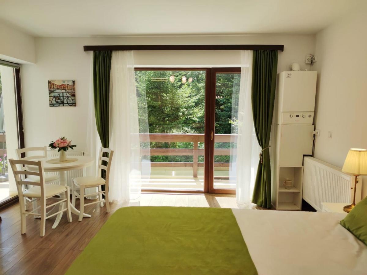 Green Studio Predeal Ngoại thất bức ảnh