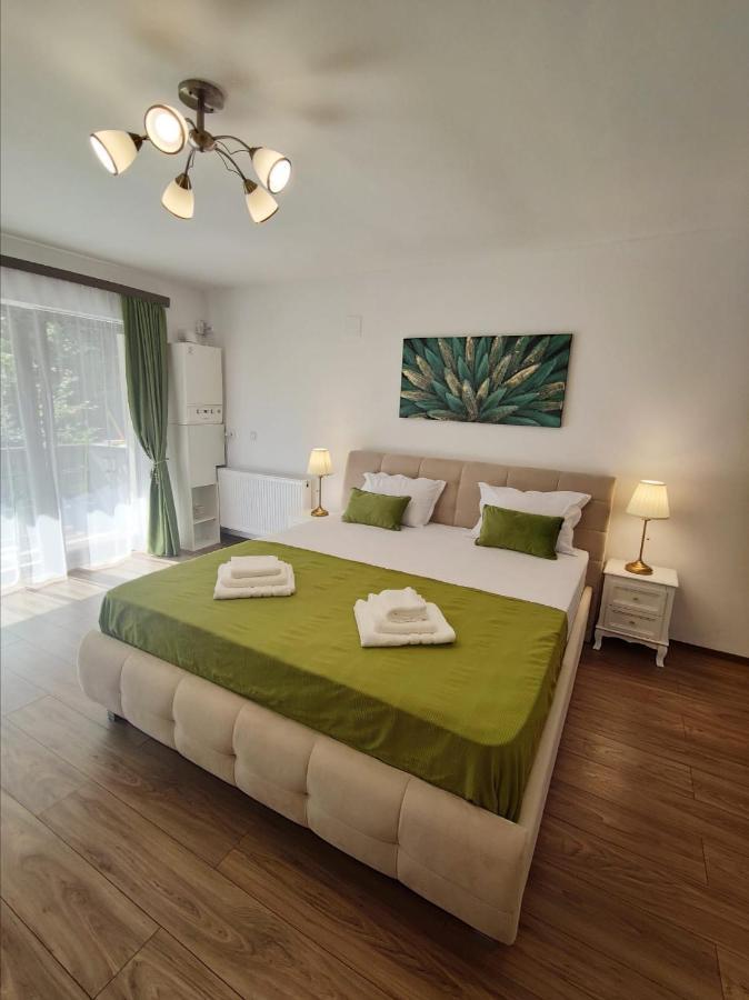 Green Studio Predeal Ngoại thất bức ảnh