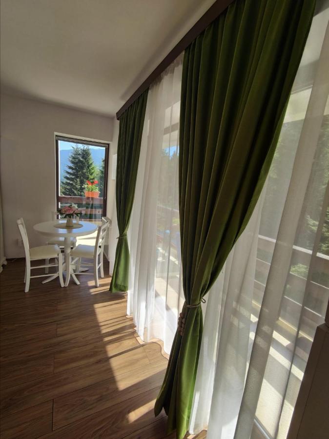 Green Studio Predeal Ngoại thất bức ảnh